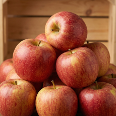 고당도 프리미엄 꿀사과 10KG